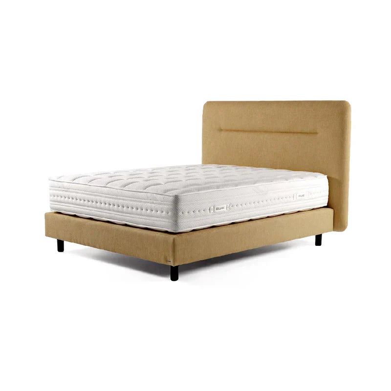 Giường Colunex Stream